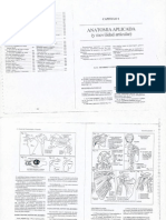 Anatomia Aplicada Ramos Vertiz