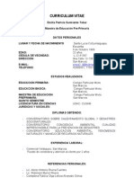 Curriculum Vitae 2