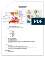 Respiratory System