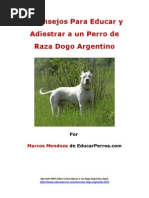 4 Consejos para Educar y Adiestrar A Un Perro de Raza Dogo Argentino