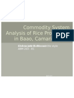 Commodity System Analysis of Rice Production in Baao