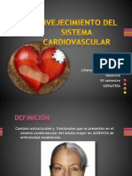 Envejecimiento Del Sistema Cardiovascular Lily