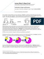 Enzyme Protocol