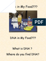 DNA in My Food???