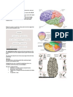 Neurology Short Notes