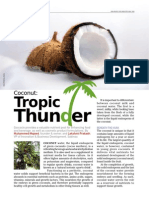 Cococin - Tropic Thunder