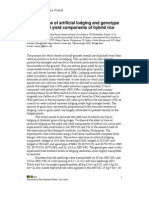 Effect of Time of Artificial Lodging and Genotype On Yield and Yield Components of Hybrid Rice