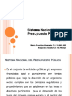 Sistema Nacional Del Presupuesto Público