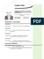 Modelo de Curriculum Vitae