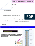 Especializações e Junções de Membrana