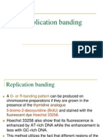 Replication Banding