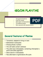 Kingdom Plantae