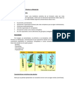 Apostila Biologia Cefet-Coltec 3