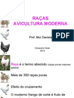 RAÇAS Aves - Aula3