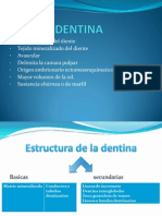 DENTINA