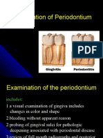 Periodontium