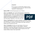 Classification of Gymnosperms