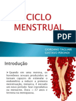 Ciclo Menstrual