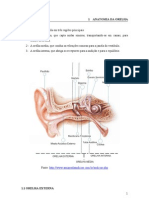 Trabalho de Biofísica - Audição