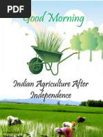 Indian Agriculture After Independence