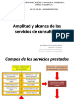 Amplitud y Alcance de Los Servicios de Consultoría