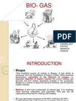 Presentation 1 Biogas