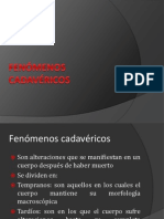 Fenómenos Cadavéricos