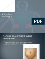 Peritoneo Anatomía Fisiología