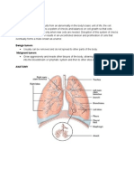 Lung Cancer