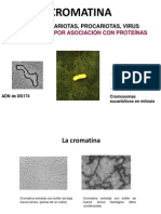 3 - El Nucleo: Arquitectura y Funcion