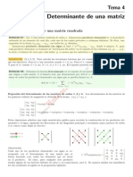 Determinante de Una MatrizZ