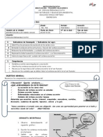 (3°p) Guia Personalizante Excrecion en Seres Vivos