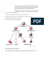 Acute Myeloid Leukemia Subtypes