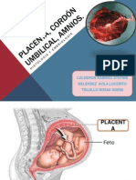 Placenta, Cordón Umbilical, Amnios