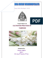 Cultivation Practices of Tuberose