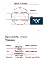 Organização Da Ação Empresarial