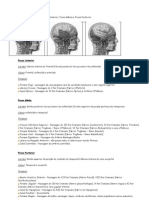 Fossas Cranianas