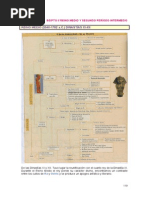 Tema 8 - Egipto II Reino Medio y Segundo Periodo Intermedio