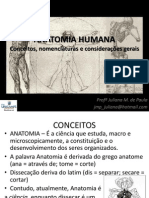 Anatomia