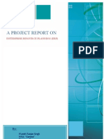 A Project Report On ERP