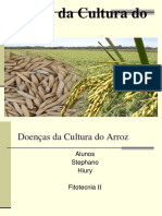 Doenças Da Cultura Do Arroz