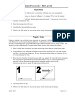 Stain Protocols