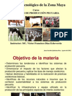 Sistemas de Produccion Pecuaria