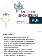 Antibody Engineering