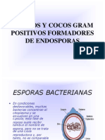 Cocos y Bacillus Gram Negativos