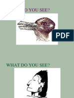 What Do You See?