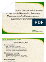 Transformations in The Lowland Rice-Based Ecosystems in Nyaungdon Township, Myanmar: Implications For Farmer Productivity and Income IRRI Seminar