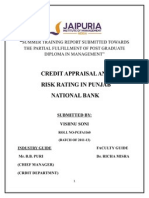 Credit Appraisal and Risk Rating at PNB