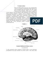 Trabalho de Anatomia e Fisiologia Do Sistema Limbico