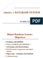 Object Database System